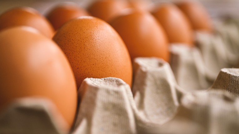 Foto von einem offenen Eierkarton. Drinnen sind braune Eier.