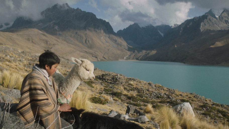 Ein Junge sitzt mit einem Alpaka auf einem Berg/Gebirge. Sie schauen in die Ferne und auf einen Fluss.