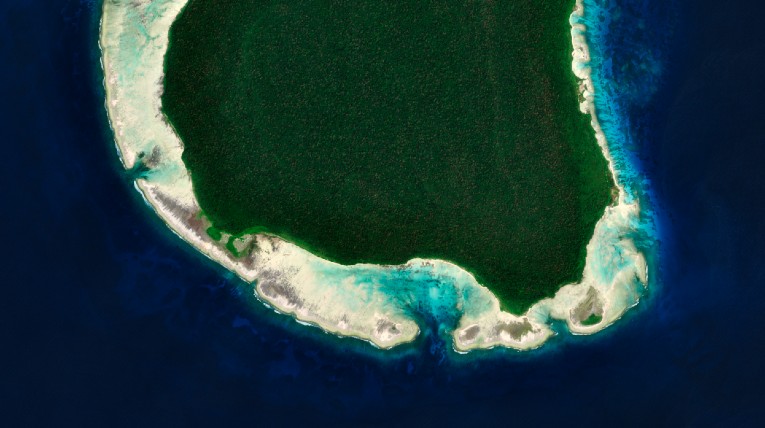 Insel mit Bäumen im Meer