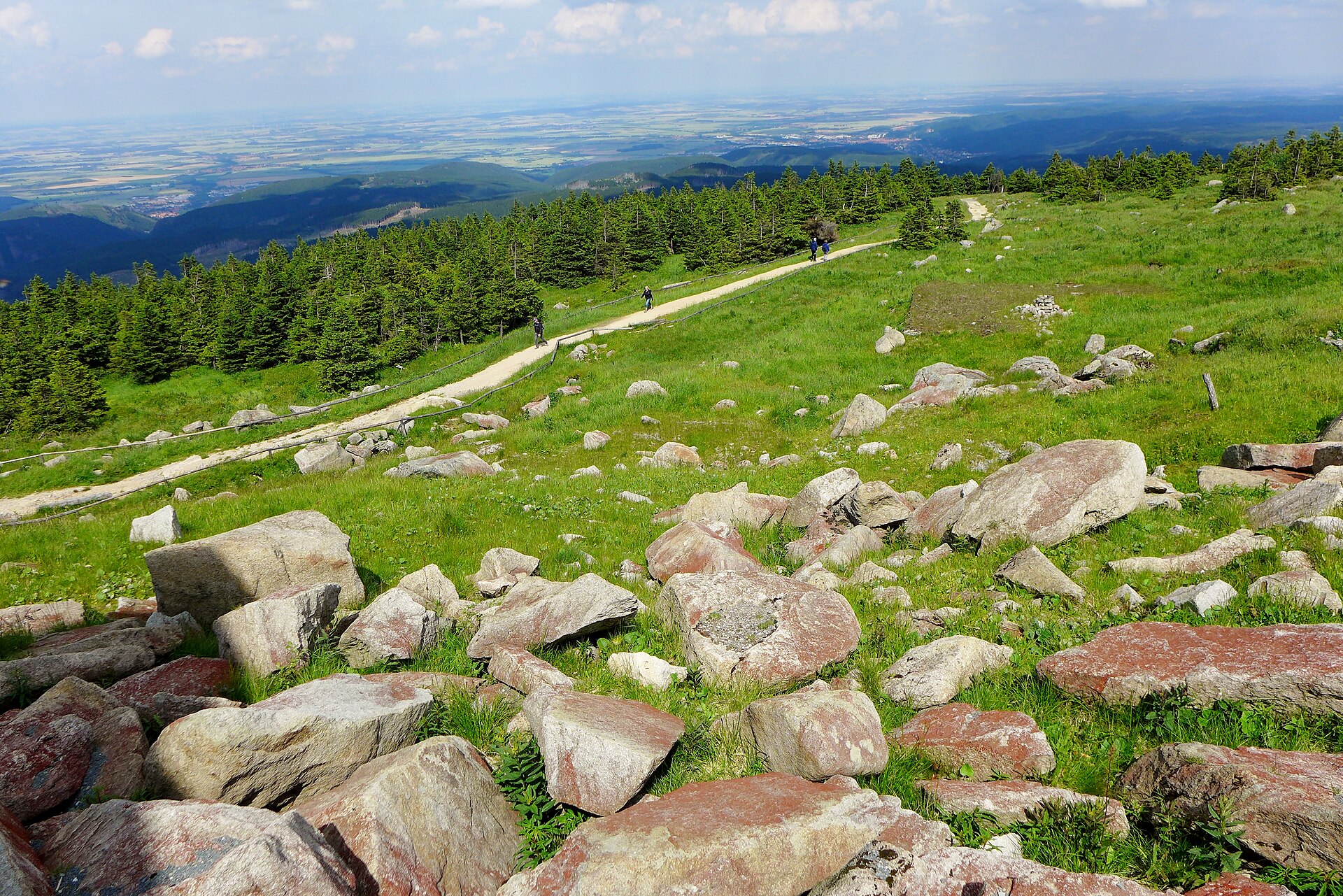 Blick von einem Hügel auf eine Wiese mit großen Steinen hinunter ins Tal