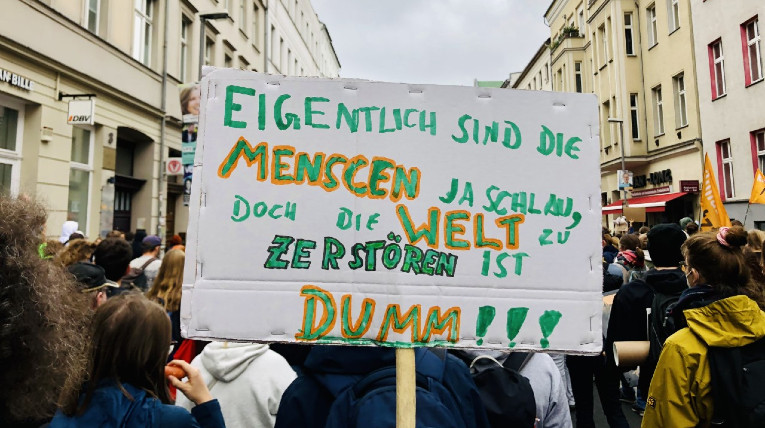 selbstgebasteltes Demoplakat mit der Aufschrift Eigentlich sind die Menschen ja schlau, aber die Welt zu zerstören ist dumm!