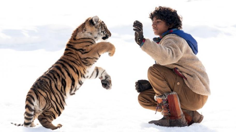 ein kleiner Tiger und ein Junge spielen im Schnee 