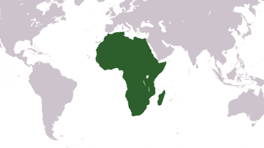 Weltkarte von Afrika