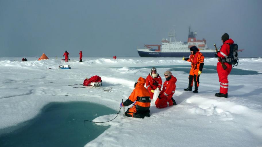 Forscher in der Arktis