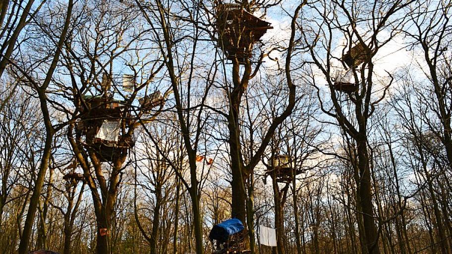 mehrere von Umweltschützer*innen selbstgebaute Baumhäuser im Hambacher Forst in Nordrhein-Westfalen