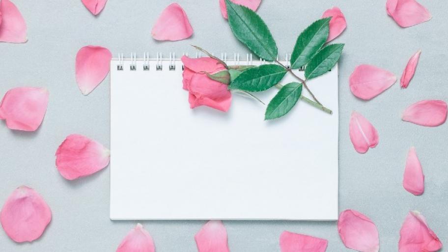 Blanko-Notizbuch liegt auf grauem Tisch, darauf liegt eine eine rosa Rose und drumherum viele rosafarbene Blütenblätter