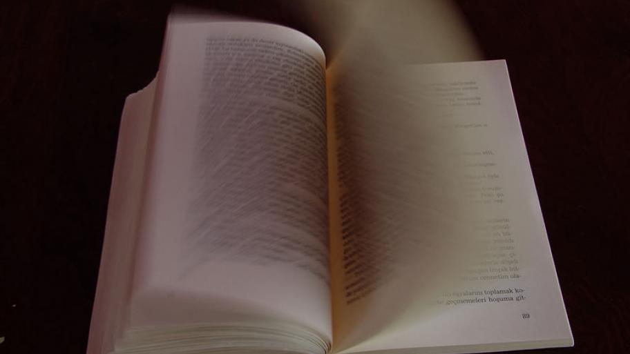 800px-Book_06403_20040730154204.jpg_wikipedia