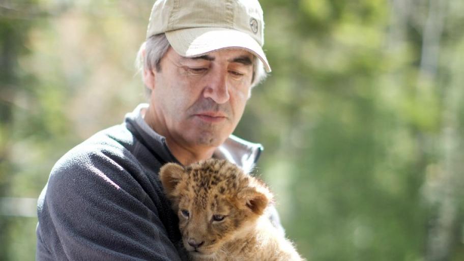 Ein älterer Mann mit beiger Cap hat ein Löwenbaby auf dem Arm.