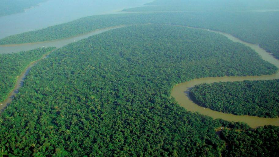 Das Amazonasbecken