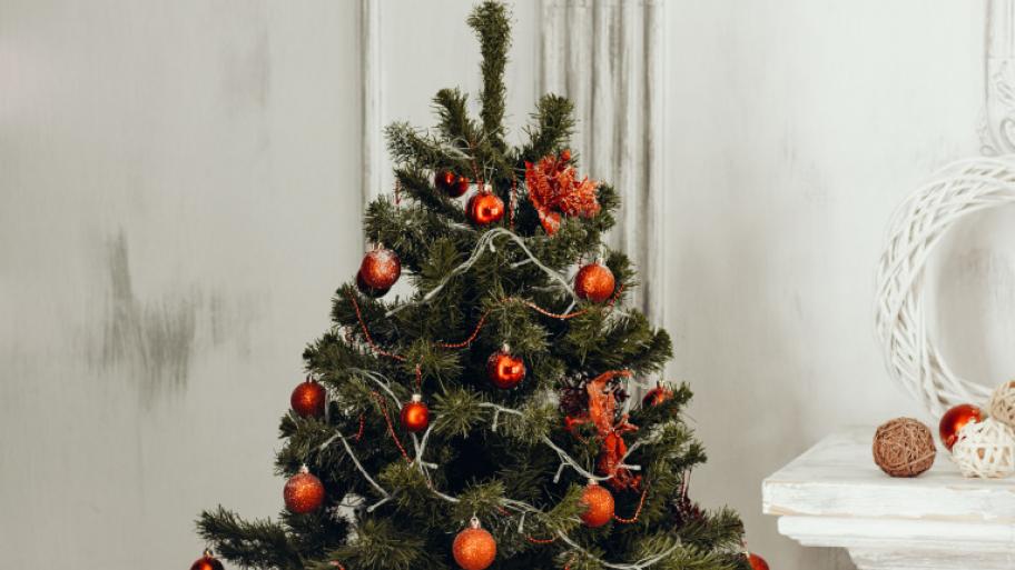 Welche Baumart verwendet man in Indien als Weihnachtsbaum?