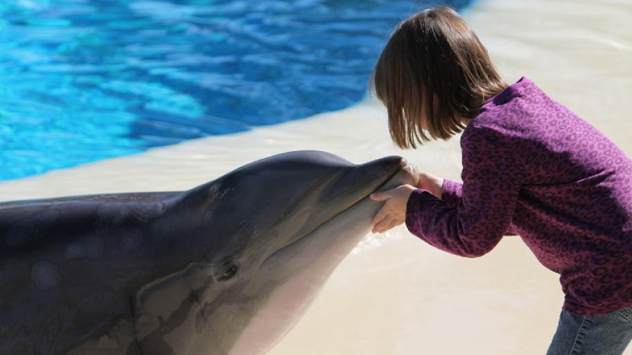 Mädchen hält den Schnabel eines Delfins in ihren Händen, Delfin und Mädchen gucken sich an, Mädchen steht mit dem Rücken zur Kamera, im Hintergrund ein Pool