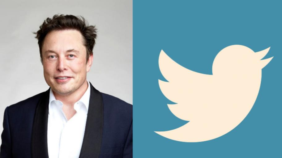 auf der linken Hälfte: Foto von Elon Musk, auf rechter Hälfte: Twitterlogo (Umriss von Vogel in weiß vor hellblauem Hintergrund)