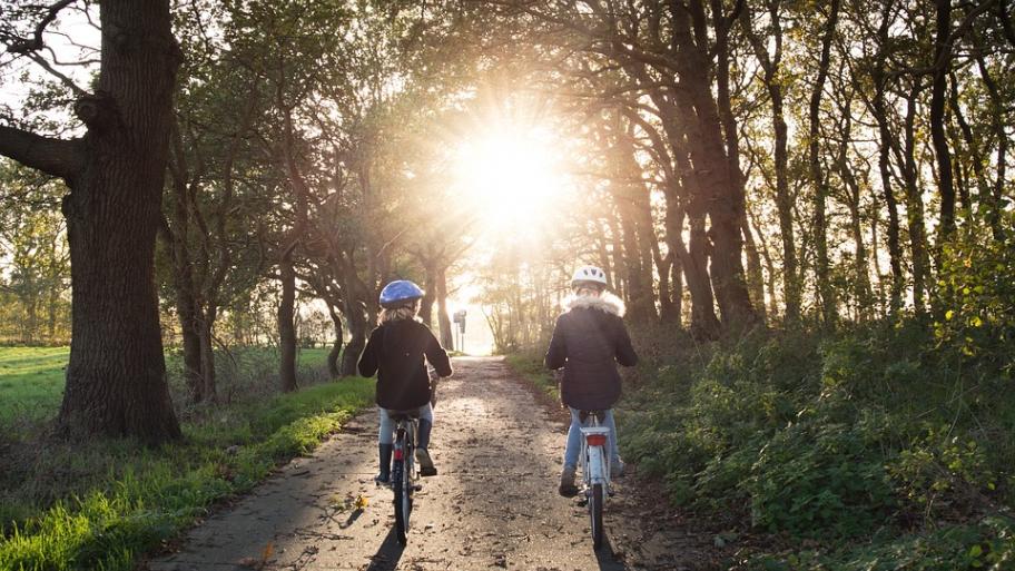 zwei Kinder fahren im Wald Fahrrad. Sie fahren dem Sonnenlicht entgegen