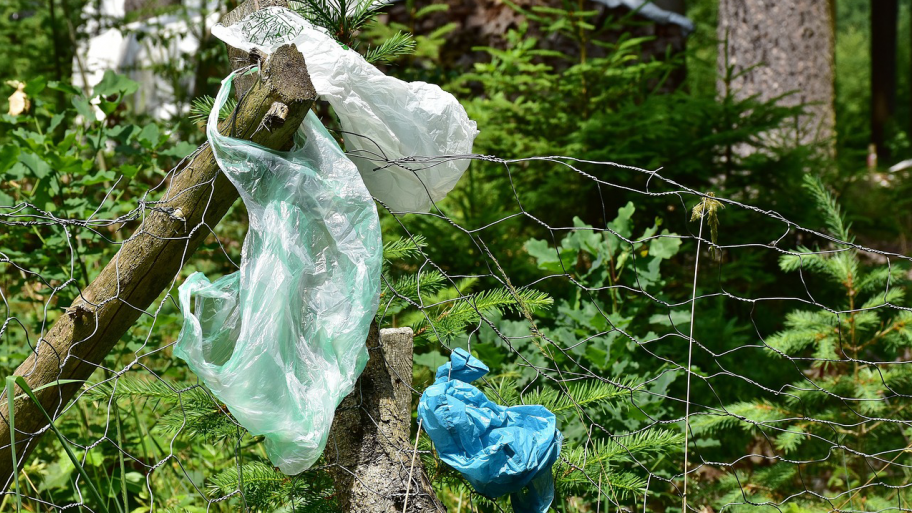 Plastiktüten hängen an Baumstamm im Wald