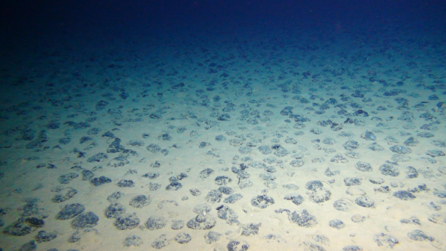 Manganknollenfeld auf dem Meeresboden