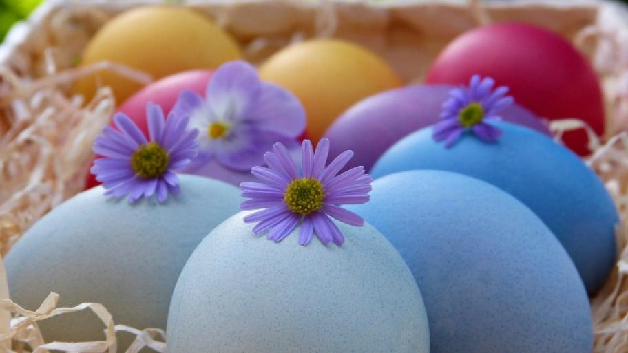 Bunter Ostereier, die in einem Osternest im Heu liegen; auf den Ostereiern liegen lila Gänseblümchen