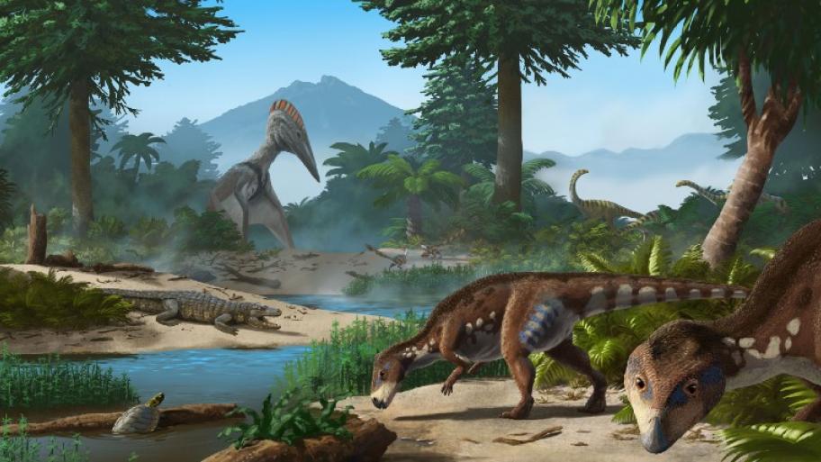Illustrierte Landschaftsszene: Tropische Region mit Farnen, Palmen und Flussbett, Dinosauriern, Krokodilen und Schildkröten