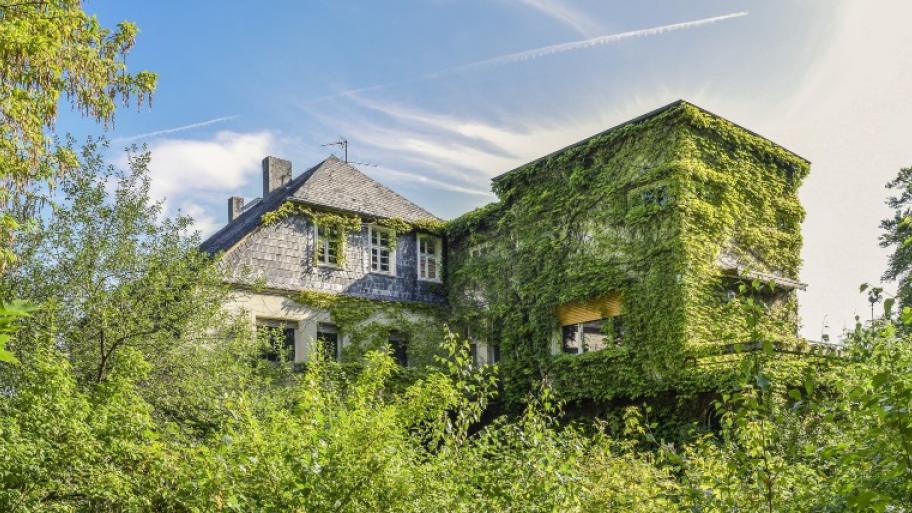 Verwunschenes Haus, dessen eine Haushälfte über und über mit rankenden Pflanzen umwachsen ist.