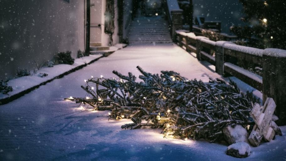 Weihnachtsbaum mit Lichterkette liegt umgefallen im Schnee nach Weihnachtsfeiertagen