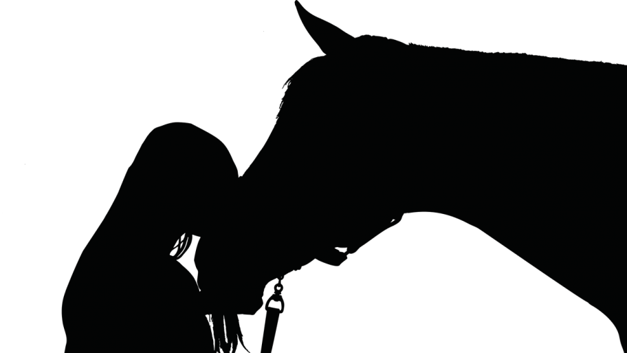 Mädchen und Pferd - Schatten