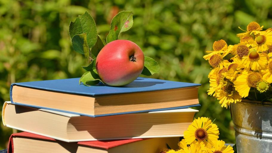 Schulbücher, die draußen im Freien liegen 