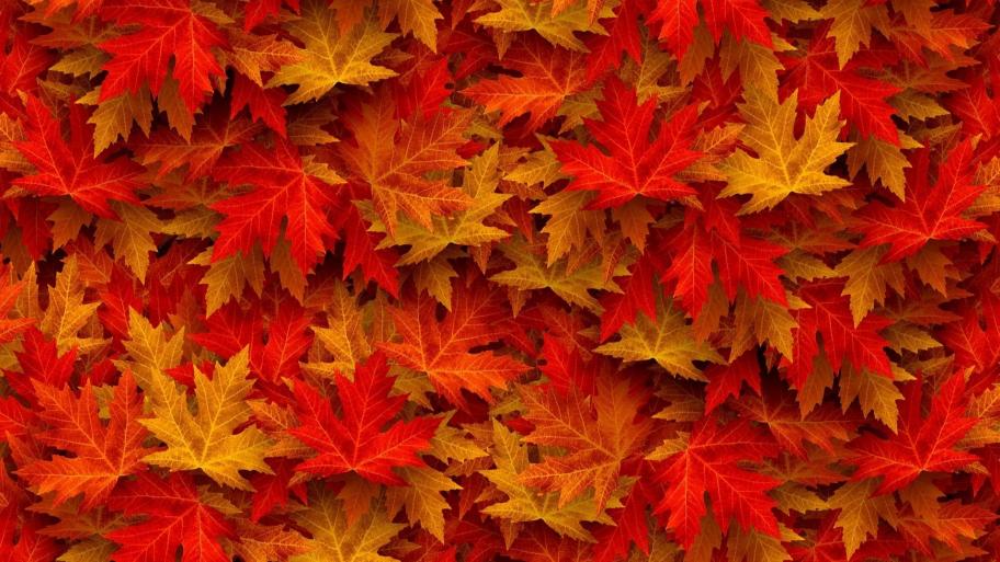 Bunte Blätter im Herbst