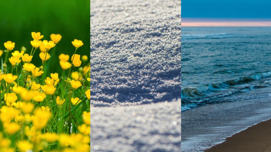 links: Blumenwiese mit gelben Blumen, mitte: schnee, rechts: meer mit strand
