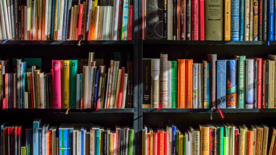Bücherregal