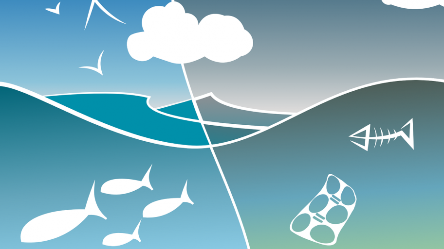 Müll im Meer, Illustration