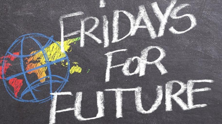 Schriftzug Fridays For Future