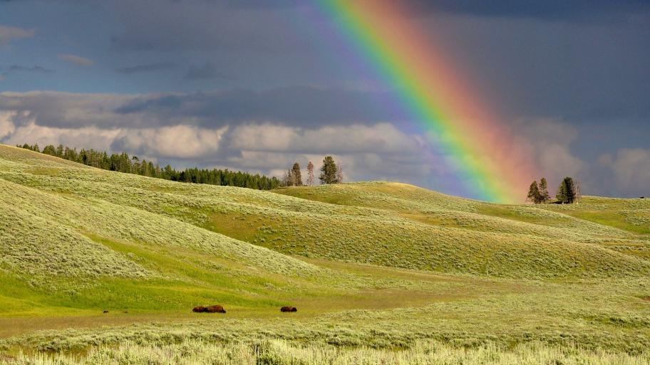 Ein Regenbogen.