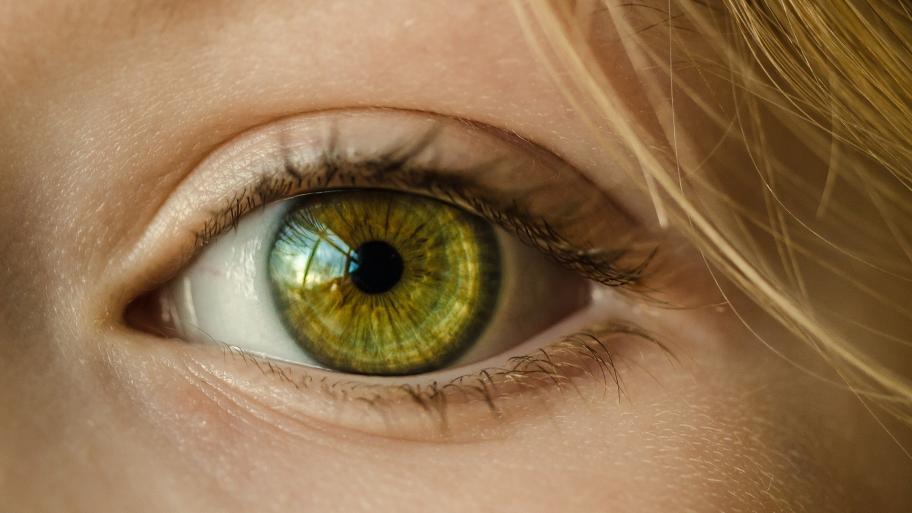 Ein Auge sieht in die Kamera.