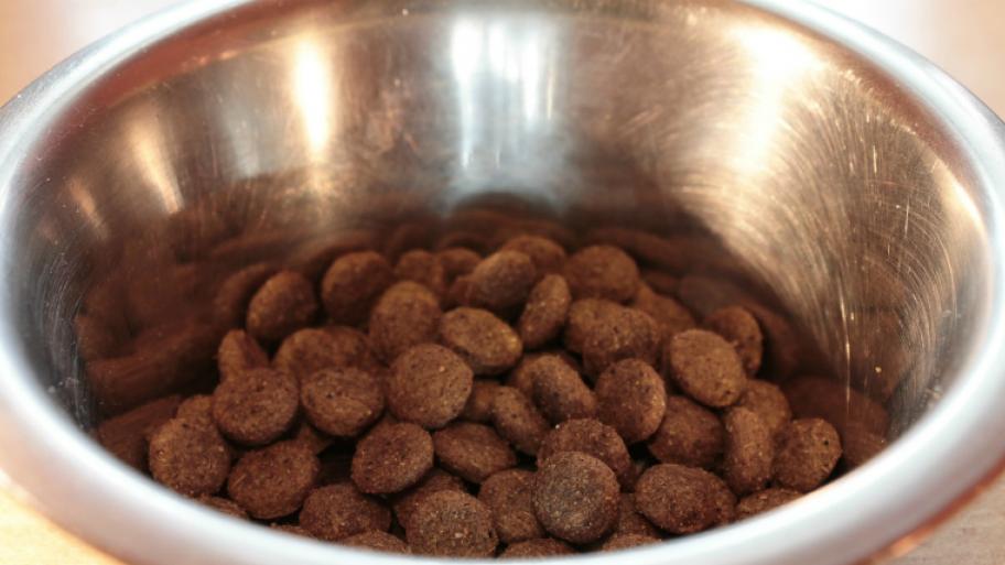 Ein Hundenapf mit Futter