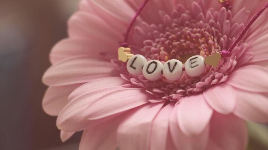 Auf der Blüte einer Gerbera liegt ein Armband mit vier Buchstabenperlen, die das Wort LOVE bilden.