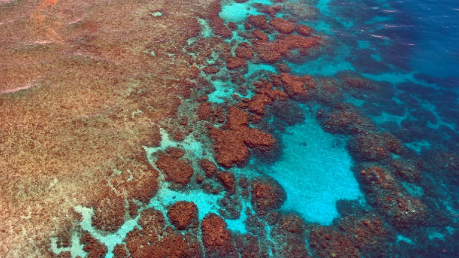 Great Barrier Reef von oben, Korallen und Wasser