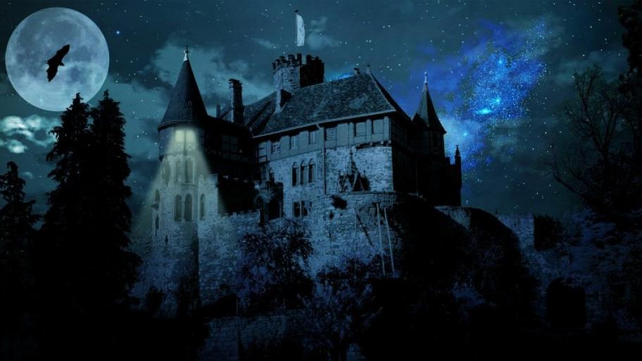 ein auf einem Felsen gelegenes Schloss bei Nacht, im Hintergrund Sternenhimmel, es fliegt eine Fledermaus, nur ein Fenster ist beleuchtet