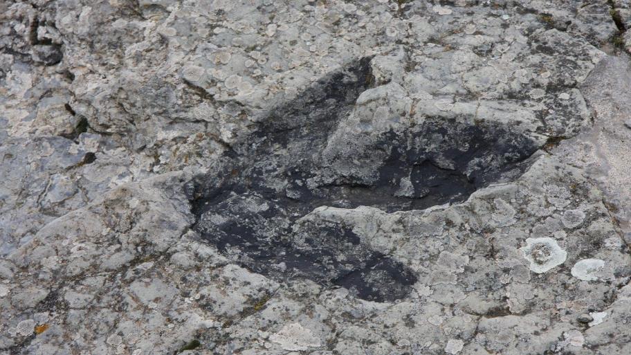 Ein versteinerter Dino-Fußabdruck