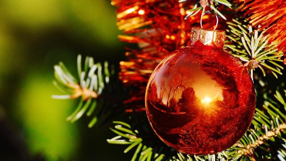 Eine rote Weihnachtskugel hängt am Weihnachtsbaum. 