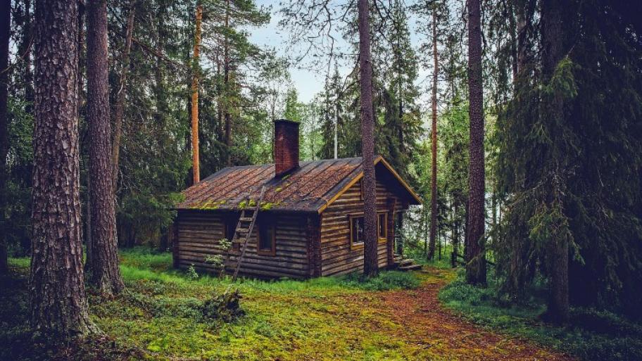 zwischen hohen Baumstämmen ein kleines Holzhaus mit Schornstein im Wald