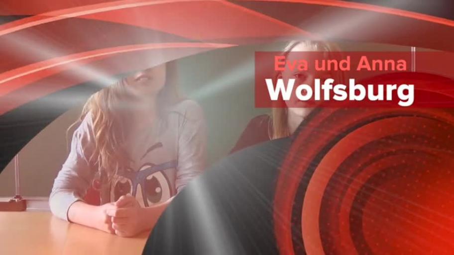 Steckbrief Wolfsburg
