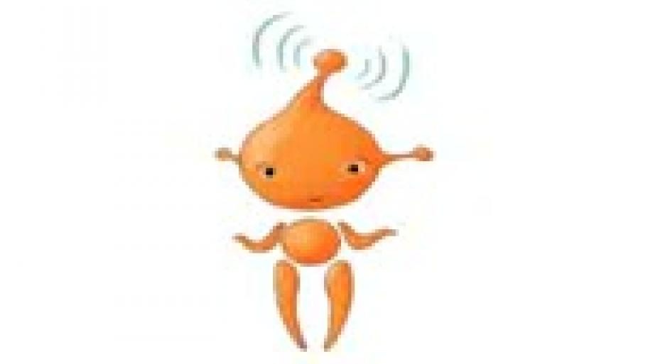FAQ - P - Passwort