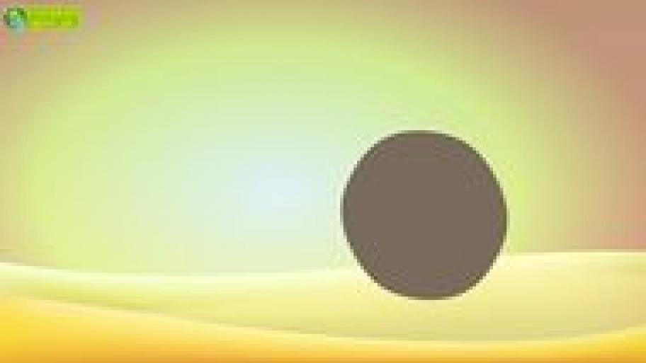 11 Fun Facts über Insekten