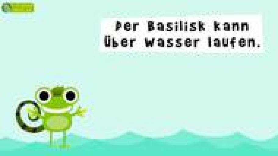 11 Fun Facts über Reptilien