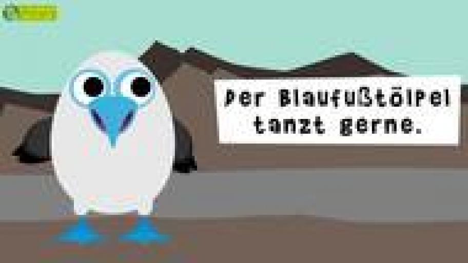 11 Fun Facts über Vögel