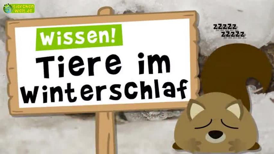 Winterschlaf, Winterruhe und Winterstarre