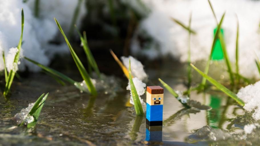 Minecraft-Figur in der Natur