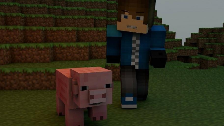 Minecraft-Schwein und -mensch