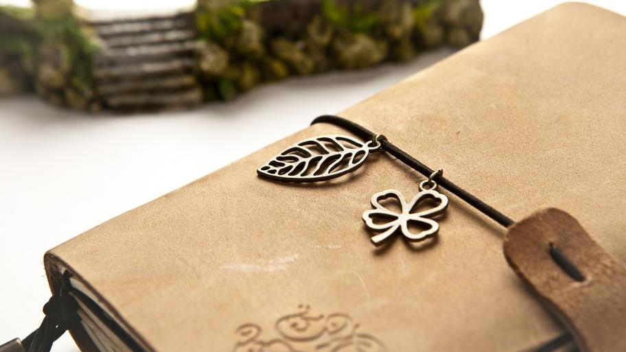 Tagebuch mit Ledereinband 
