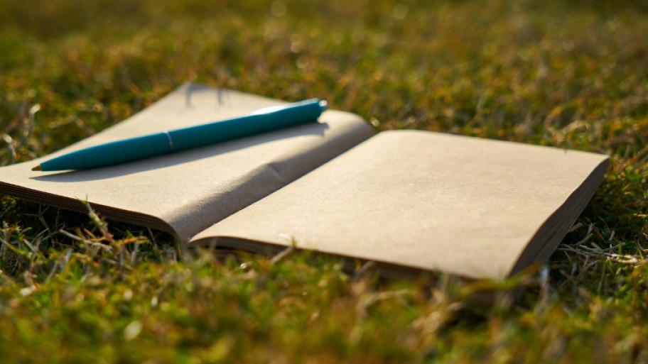 Notizbuch liegt aufgeklappt im Gras, blauer Kugelschreiber liegt auf der linken Seite