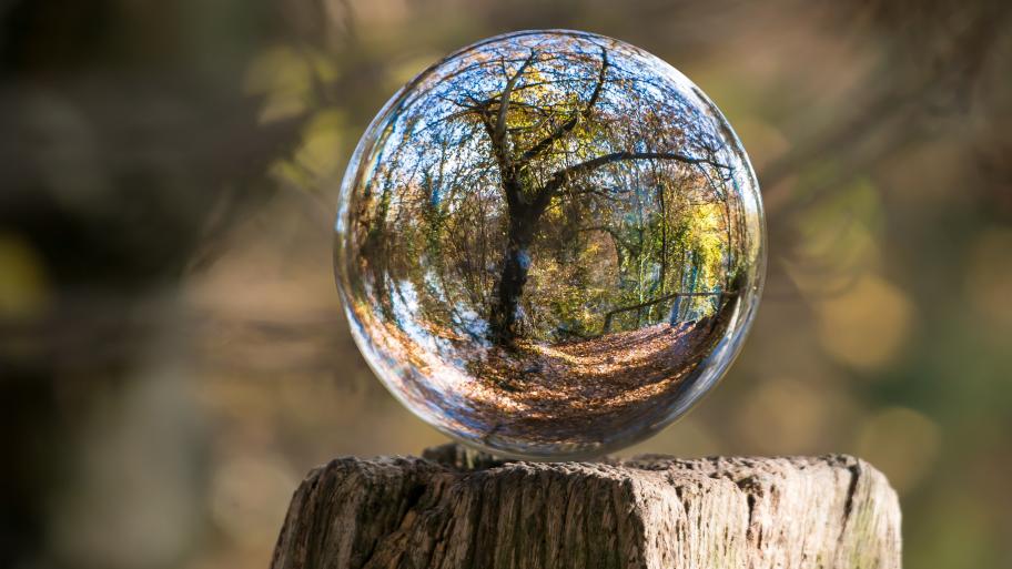 Wald im verschwommenen Hintergrund, im Vordergrund ein riesiger Wassertropfen in Form der Erde